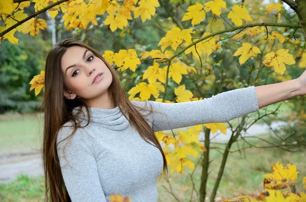 Autumn portrait in park — Stock Photo, Image