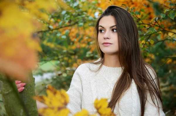 Autumn portrait in park — Stock Photo, Image