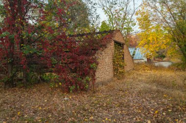 Eski, terk edilmiş seralar