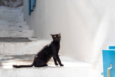 Siyah kedi beyaz merdivenlerde oturur. Geleneksel beyaz ve açık mavi bina ve kedi. 