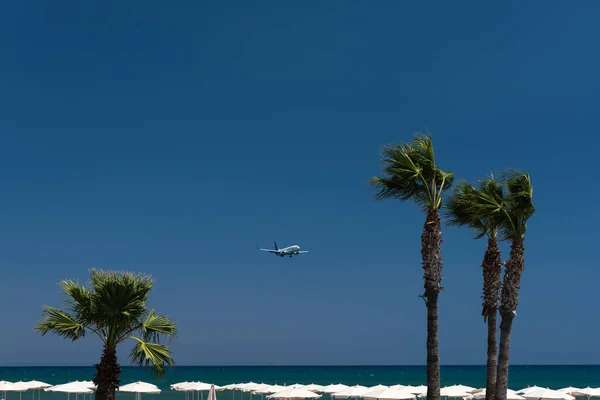 Kumsalda bir uçak. Kıbrıs Rum Kesimi 'nde havaalanı yakınlarında palmiye ağaçları olan tropik bir sahil..