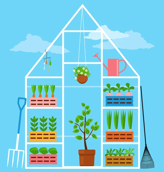 Växthus Med Plantor Grönsaker Och Trädgårdsutrustning Eps Vektorillustration — Stock vektor