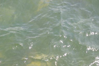 Güneş ışınlarıyla aydınlatılan deniz suyu