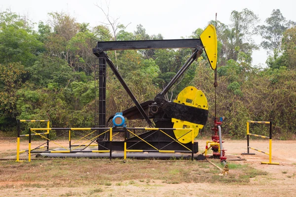 Prise de pompe en Kalimantan — Photo