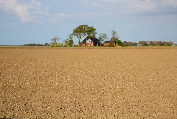 Paysage Agricole Déserté Groningue Pays Bas — Photo