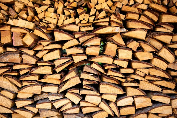 オランダの薪の山 — ストック写真