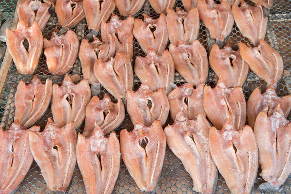 Peixe listrado seco cabeça de cobra — Fotografia de Stock