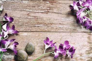 ahşap üzerine orkide çiçek