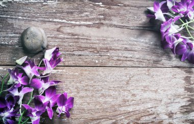 ahşap üzerine orkide çiçek