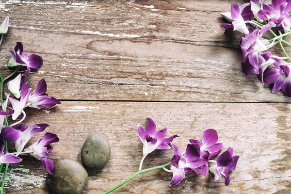 ahşap üzerine orkide çiçek