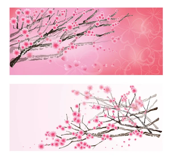 樱花花和分支 — 图库矢量图片