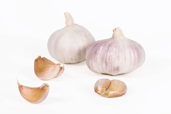 Knoblauch isoliert auf weiß — Stockfoto