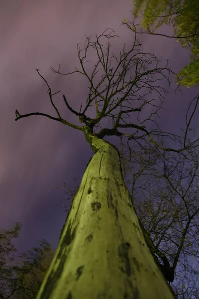 llaves Allen sobre fondo blanco