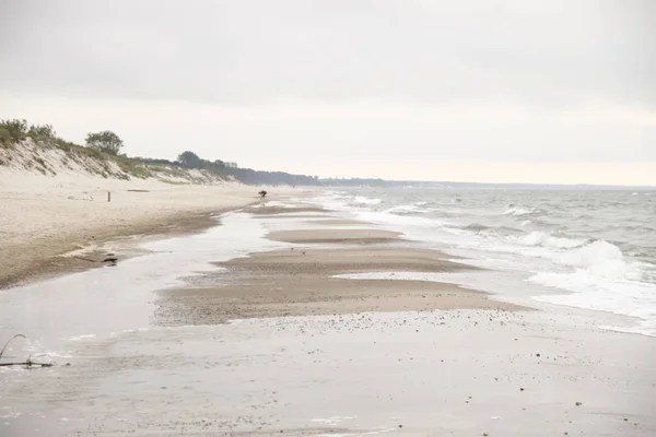 plaj Kuzey Baltık Denizi