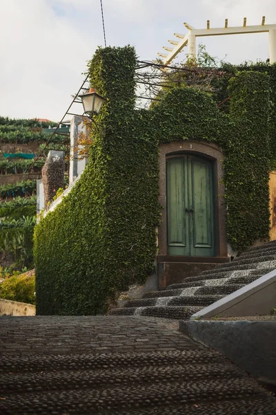 kapı çit Ivy görünümü