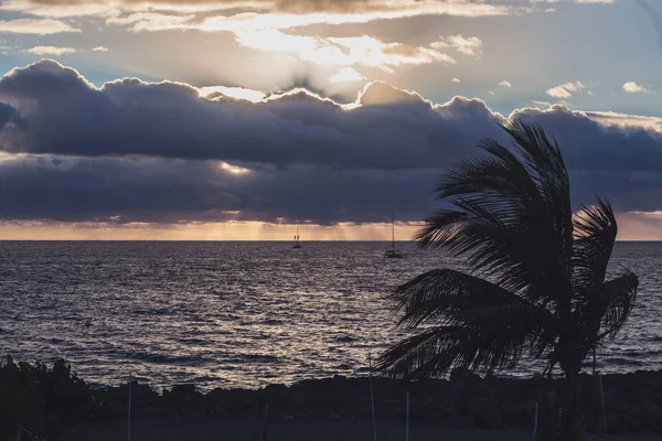 ocean clouds sunset palm