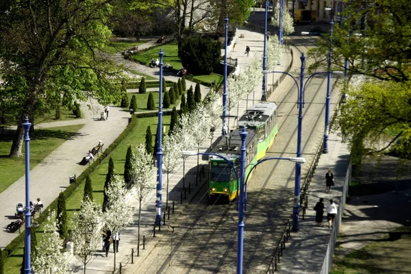 tramvay, Poznan, Polonya Chopin park