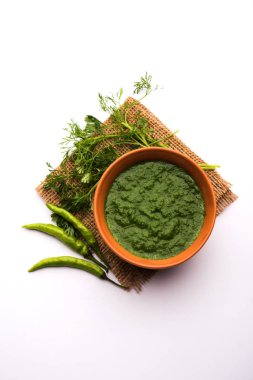 Kothimbir ya da Dhaniya Chutney Cilantro ya da acılı kişniş kullanarak bir kasede servis edilir. seçici odak