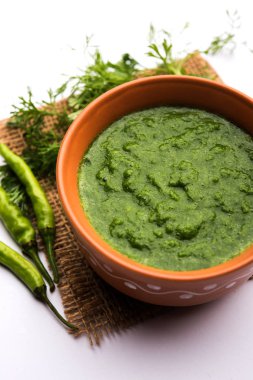 Kothimbir ya da Dhaniya Chutney Cilantro ya da acılı kişniş kullanarak bir kasede servis edilir. seçici odak