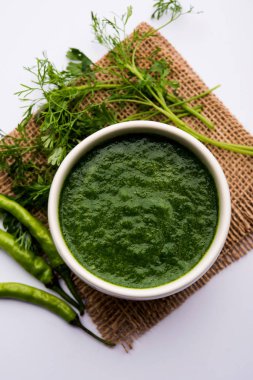 Kothimbir ya da Dhaniya Chutney Cilantro ya da acılı kişniş kullanarak bir kasede servis edilir. seçici odak