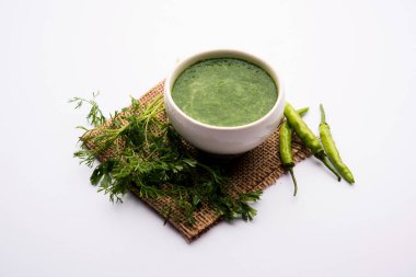 Kothimbir ya da Dhaniya Chutney Cilantro ya da acılı kişniş kullanarak bir kasede servis edilir. seçici odak