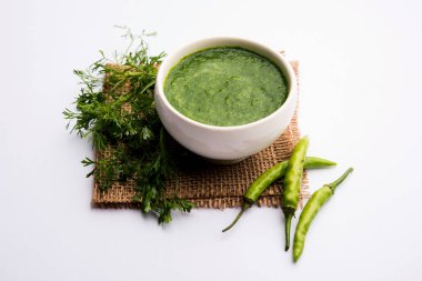 Kothimbir ya da Dhaniya Chutney Cilantro ya da acılı kişniş kullanarak bir kasede servis edilir. seçici odak