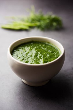 Kothimbir ya da Dhaniya Chutney Cilantro ya da acılı kişniş kullanarak bir kasede servis edilir. seçici odak