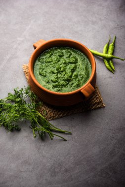 Kothimbir ya da Dhaniya Chutney Cilantro ya da acılı kişniş kullanarak bir kasede servis edilir. seçici odak