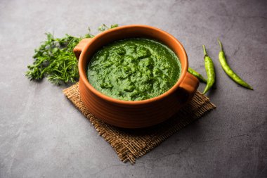 Kothimbir ya da Dhaniya Chutney Cilantro ya da acılı kişniş kullanarak bir kasede servis edilir. seçici odak