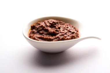 Ev yapımı Tandır ezmesi ya da salamura karışımı, bir kasede. Izgara tavuk, paneer ya da sebze için kullanılır. seçici odak