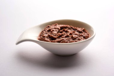 Ev yapımı Tandır ezmesi ya da salamura karışımı, bir kasede. Izgara tavuk, paneer ya da sebze için kullanılır. seçici odak