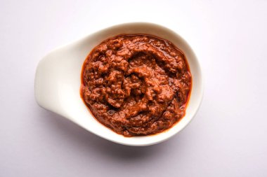 Ev yapımı Tandır ezmesi ya da salamura karışımı, bir kasede. Izgara tavuk, paneer ya da sebze için kullanılır. seçici odak