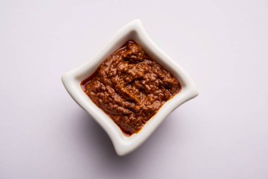 Ev yapımı Tandır ezmesi ya da salamura karışımı, bir kasede. Izgara tavuk, paneer ya da sebze için kullanılır. seçici odak