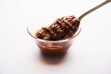 Ev yapımı Tandır ezmesi ya da salamura karışımı, bir kasede. Izgara tavuk, paneer ya da sebze için kullanılır. seçici odak