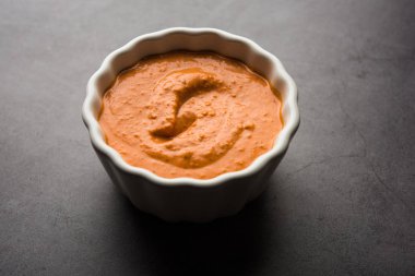 Ev yapımı Tandır ezmesi ya da salamura karışımı, bir kasede. Izgara tavuk, paneer ya da sebze için kullanılır. seçici odak