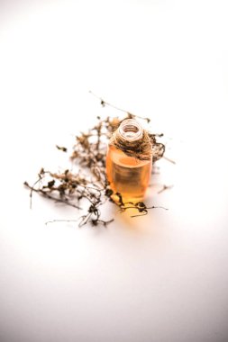 Ayurvedic Maha Bhringraj veya Mahabhringraj Kurumuş yapraklar ve havan topuyla yağlı, seçici odaklı