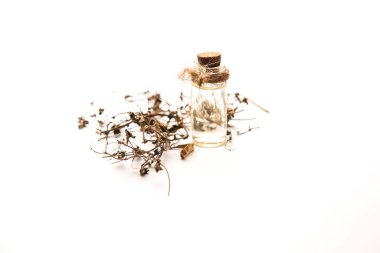 Ayurvedic Maha Bhringraj veya Mahabhringraj Kurumuş yapraklar ve havan topuyla yağlı, seçici odaklı