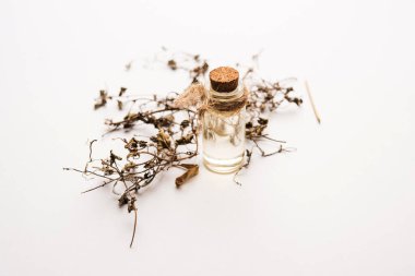 Ayurvedic Maha Bhringraj veya Mahabhringraj Kurumuş yapraklar ve havan topuyla yağlı, seçici odaklı