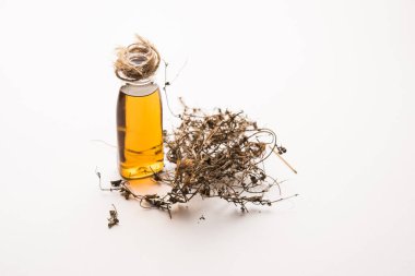 Ayurvedic Maha Bhringraj veya Mahabhringraj Kurumuş yapraklar ve havan topuyla yağlı, seçici odaklı