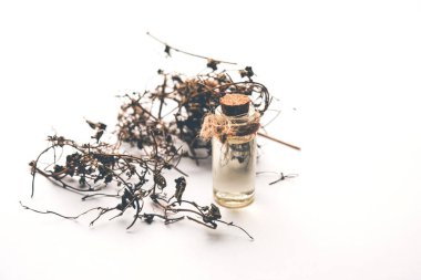 Ayurvedic Maha Bhringraj veya Mahabhringraj Kurumuş yapraklar ve havan topuyla yağlı, seçici odaklı