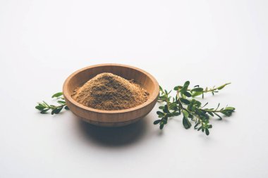 Bacopa monnieri bitkisi ya da Ayurvedic Brahmi bitkisi bir kasede toz, seçici odaklanma