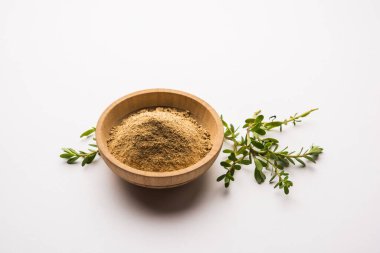 Bacopa monnieri bitkisi ya da Ayurvedic Brahmi bitkisi bir kasede toz, seçici odaklanma
