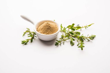 Bacopa monnieri bitkisi ya da Ayurvedic Brahmi bitkisi bir kasede toz, seçici odaklanma