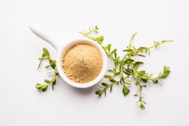 Bacopa monnieri bitkisi ya da Ayurvedic Brahmi bitkisi bir kasede toz, seçici odaklanma