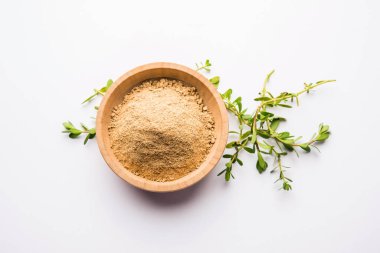 Bacopa monnieri bitkisi ya da Ayurvedic Brahmi bitkisi bir kasede toz, seçici odaklanma