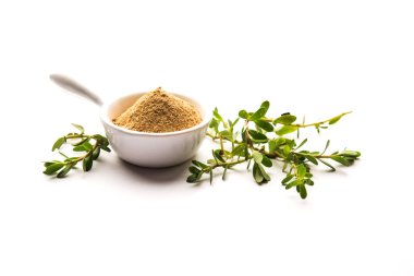 Bacopa monnieri bitkisi ya da Ayurvedic Brahmi bitkisi bir kasede toz, seçici odaklanma
