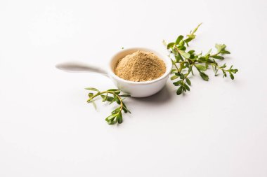 Bacopa monnieri bitkisi ya da Ayurvedic Brahmi bitkisi bir kasede toz, seçici odaklanma
