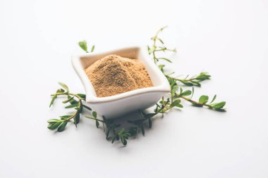 Bacopa monnieri bitkisi ya da Ayurvedic Brahmi bitkisi bir kasede toz, seçici odaklanma