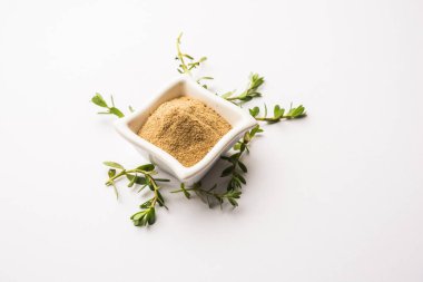 Bacopa monnieri bitkisi ya da Ayurvedic Brahmi bitkisi bir kasede toz, seçici odaklanma