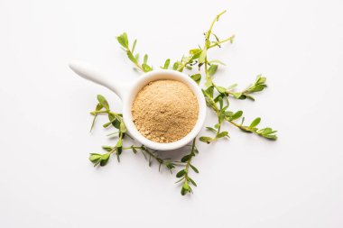 Bacopa monnieri bitkisi ya da Ayurvedic Brahmi bitkisi bir kasede toz, seçici odaklanma